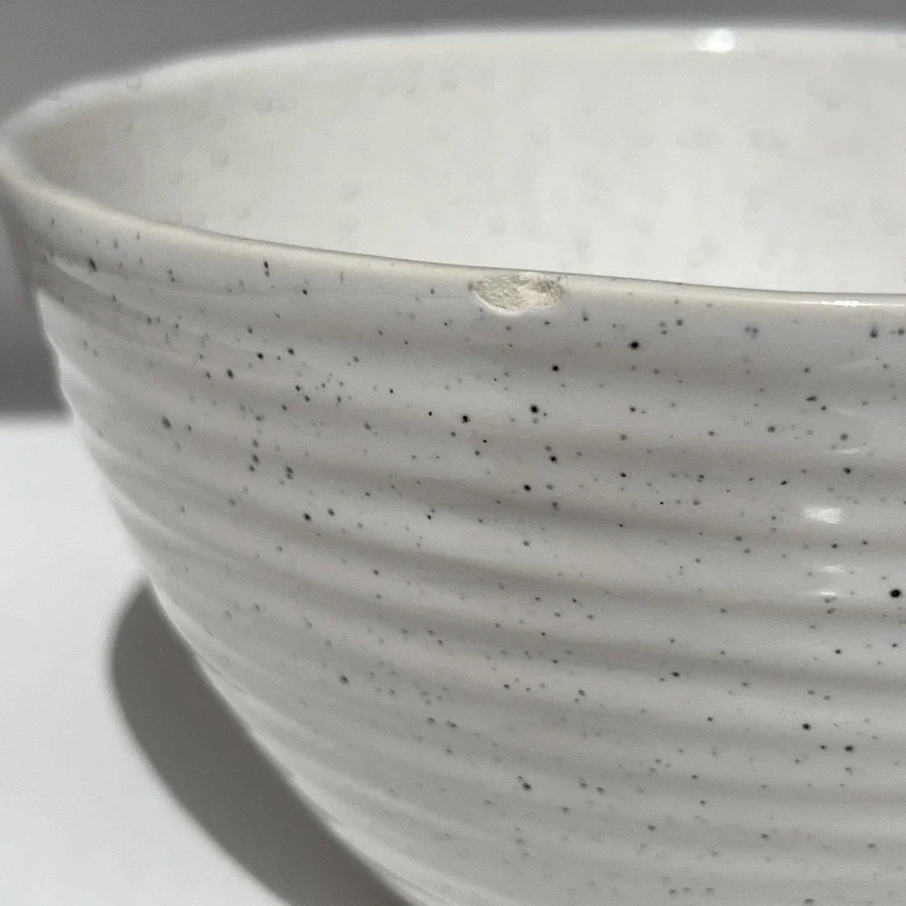Serving Bowl Speckled Stoneware Ramen Pasta Ribbed Ceramic‎ Modern Kitchen Dish